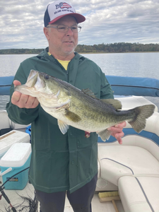 Bass Frenzy In Sam Rayburn 